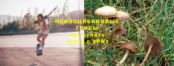 mdpv Михайлов